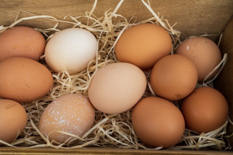¿Qué significa soñar con huevos de gallina?
